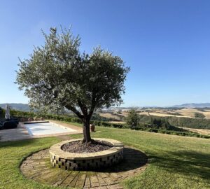 Toscana, la nuova rotta degli armatori: il doppio investimento tra terra e mare